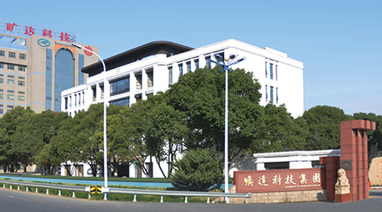 v1